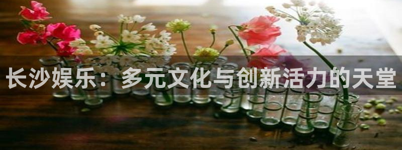 优游国际官网下载：长沙娱乐：多元文化与创新活力的天堂