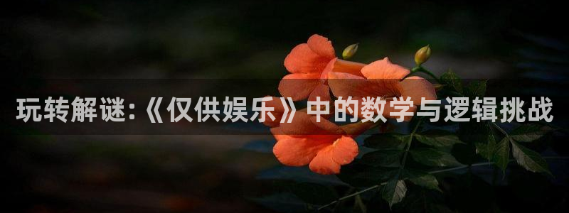 优游国际官网客服电话：玩转解谜:《仅供娱乐》中的数学与逻辑挑战
