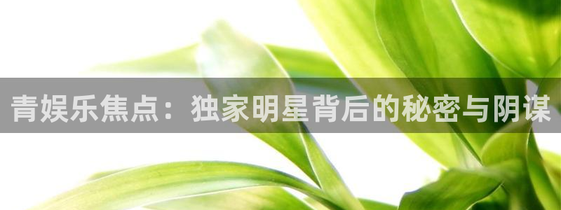 优游国际官网：青娱乐焦点：独家明星背后的秘密与阴谋