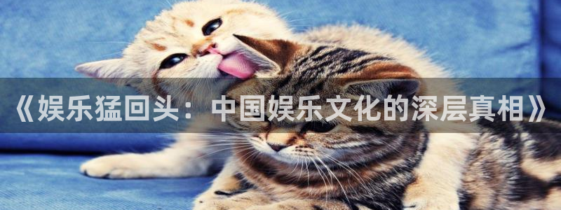 优游国际官网首页：《娱乐猛回头：中国娱乐文化的深层真相》